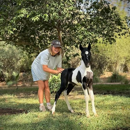 La Vie En Rose - Horses & Dogs House Bed & Breakfast Marrakesh Exterior photo