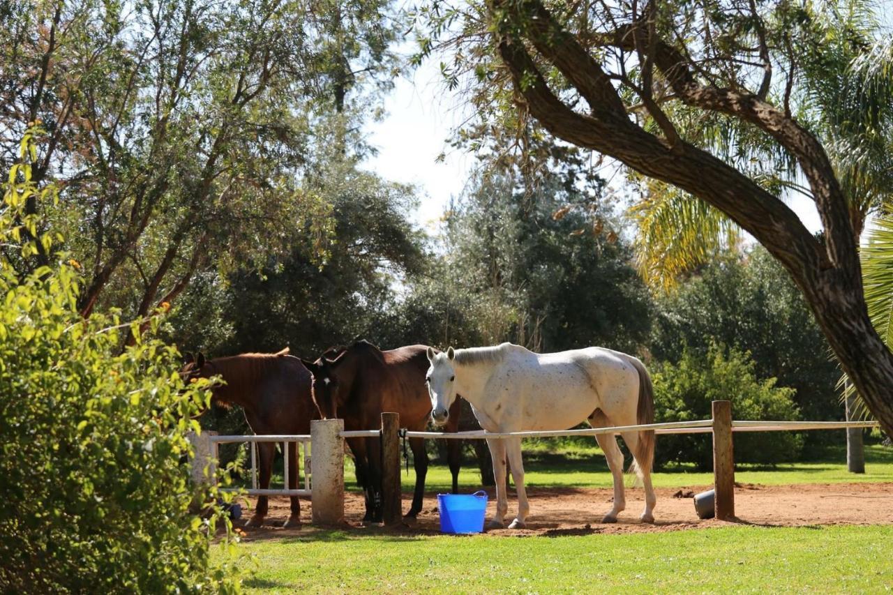 La Vie En Rose - Horses & Dogs House Bed & Breakfast Ait Hamid Exterior photo