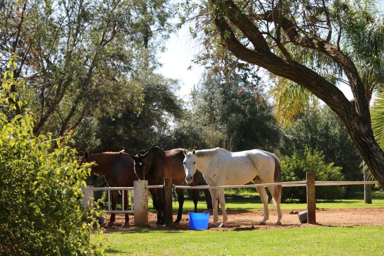 La Vie En Rose - Horses & Dogs House Bed & Breakfast Marrakesh Exterior photo