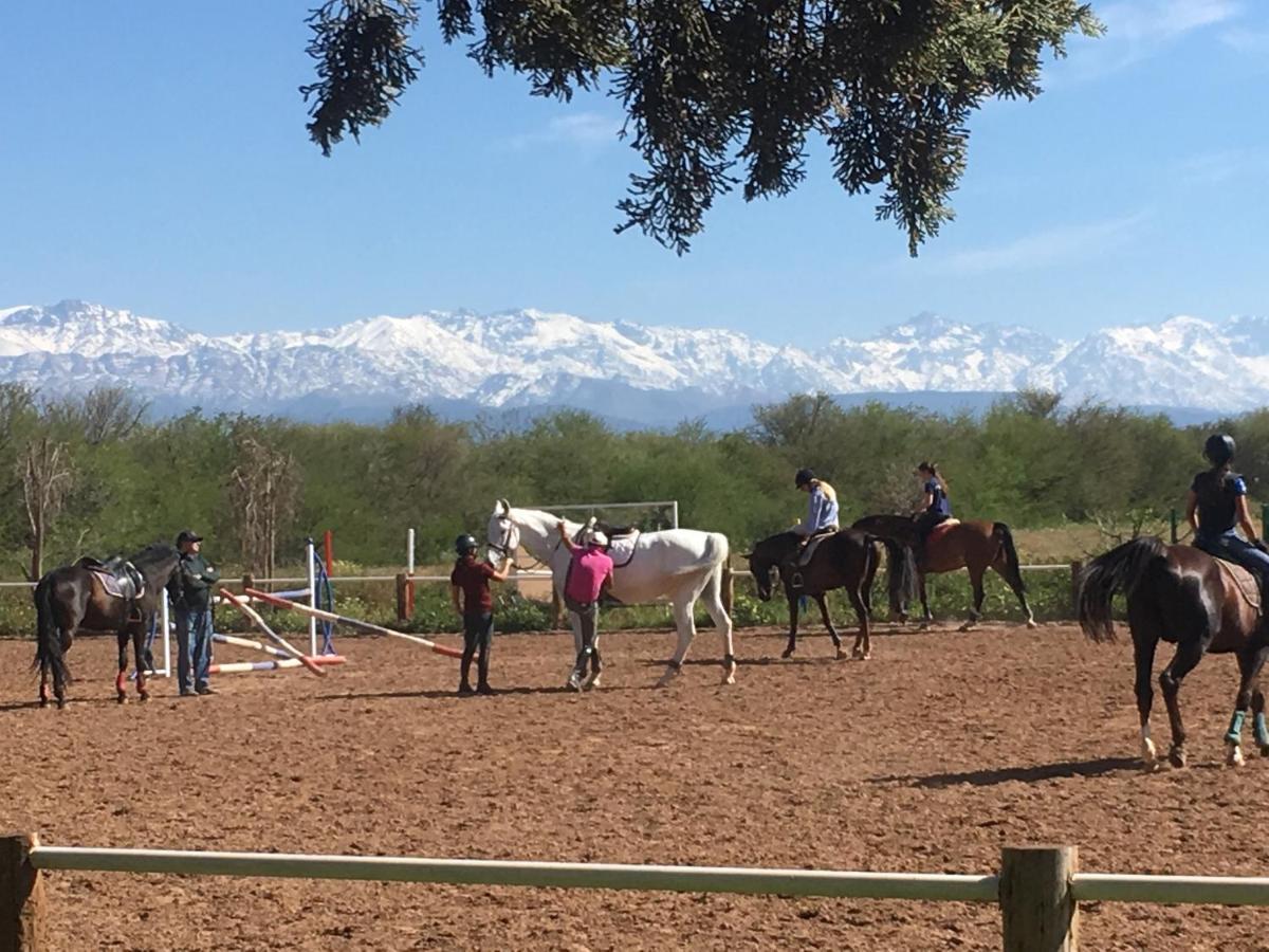 La Vie En Rose - Horses & Dogs House Bed & Breakfast Marrakesh Exterior photo