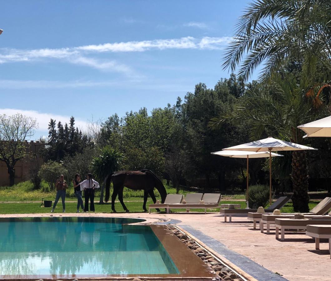 La Vie En Rose - Horses & Dogs House Bed & Breakfast Marrakesh Exterior photo