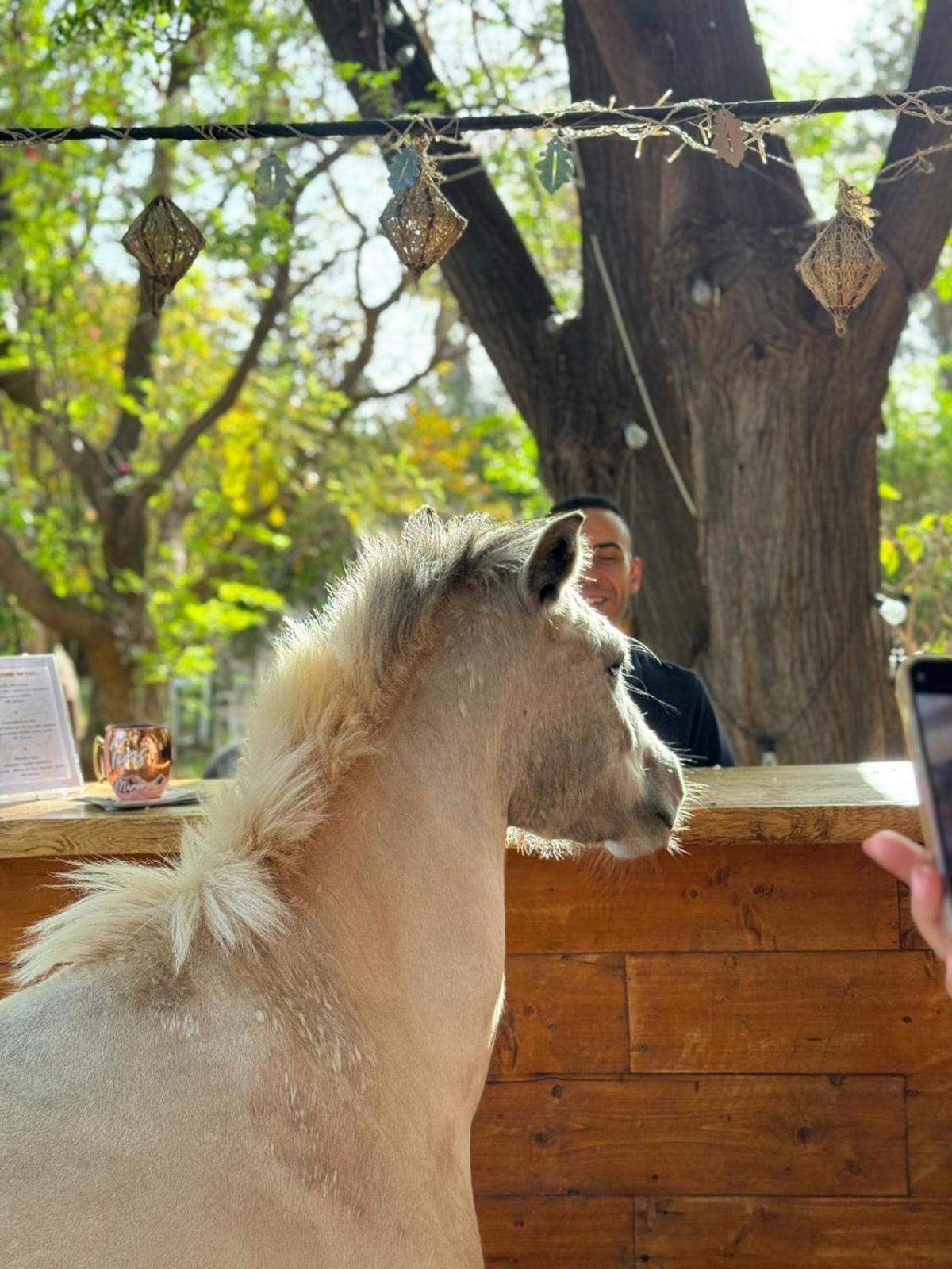 La Vie En Rose - Horses & Dogs House Bed & Breakfast Ait Hamid Exterior photo